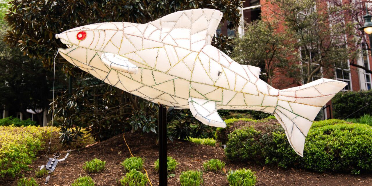 Fish